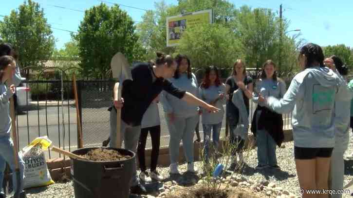From gun to shovel: Local students use former weapons to plant trees