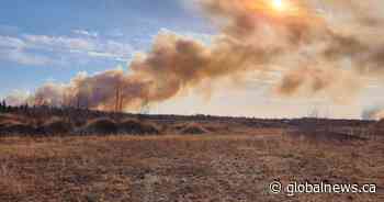 Parkland County wildfire prompts emergency evacuations near Entwistle