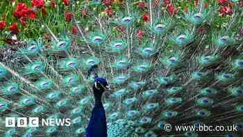 Week in pictures: 22-28 April 2023