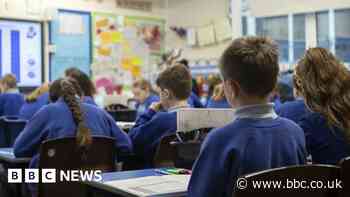 Somerset Council fined over speech therapy failure