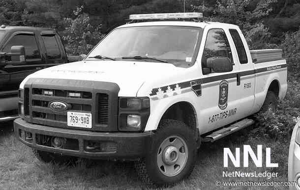 Three Hunters Fined and Suspended for Careless Use of Firearms and Improper Tagging of Moose