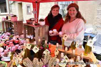 Erster Pflanzenflohmarkt in Warburg-Germete kommt richtig gut an