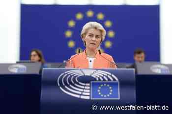 OWL: CDU sucht Frau für Europa