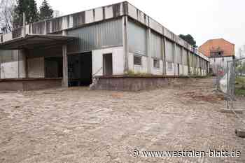 Abriss der Molkerei: Schandfleck in Gehrden verschwindet