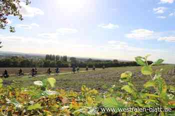 Stemwede: Siebenecken-App macht Fahrradrouten neu erlebbar