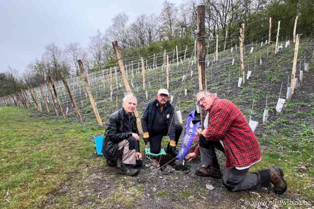 Stem nu op 46 projecten om het klimaat of talent in Genk te steunen