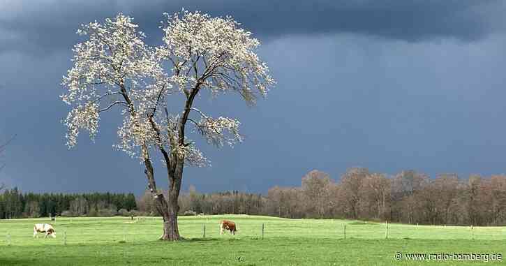 Sonne hier, Gewitter dort: Wetter-Mix am 1. Mai