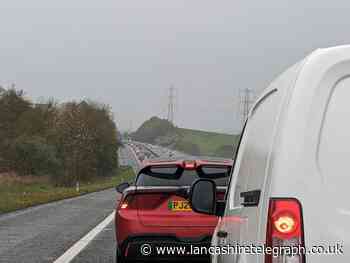 Animals in road causes complete standstill on M65 near Blackburn