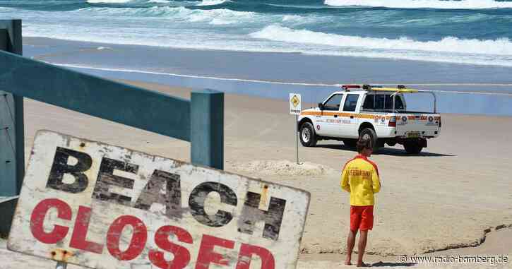 Australien: Strände nach möglicher Hai-Attacke geschlossen