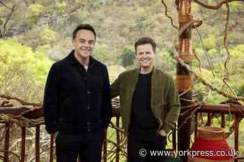 Ant and Dec give 'hilarious' insight into time in South Africa