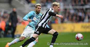 Newcastle half-time player ratings: Gordon left to rue his luck after missing two good chances