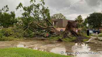 Tornado Touched Down in Palm Beach Gardens Leaving Destruction in Its Wake. Take a Look