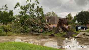 Tornado Touched Down in Palm Beach Gardens Leaving Destruction in Its Wake. Take a Look
