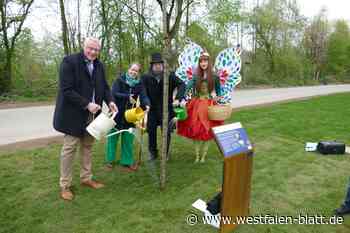 Eiche erinnert auf dem Landesgartenschau-Gelände an Hoffmann von Fallersleben