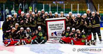 Stoney Creek Sabres win 2023 Esso Cup