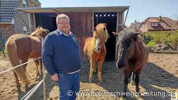 Sonnenberg – das Dorf der Islandpferde