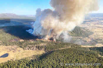 Evacuation alerts issued due to Dripping Water wildfire southeast of Alexis Creek
