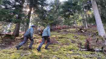 Norditalien: Wanderer finden Kadaver von „problematischem“ Bären