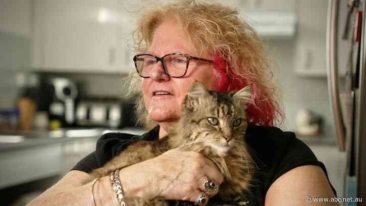 Phasing out property tax breaks could save $74b but it also could create 'significant economic shock'