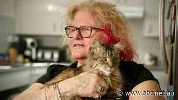 Phasing out property tax breaks could save $74b but it also could create 'significant economic shock'