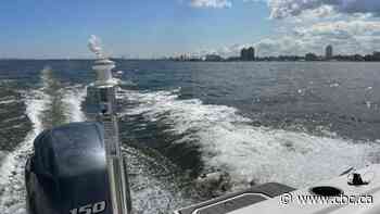 Want to live the boat life but don't own one? New sharing service launches in Hamilton