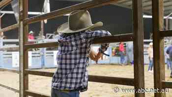 Tiny town's population doubles with celebration of outback Queensland's vast horizons