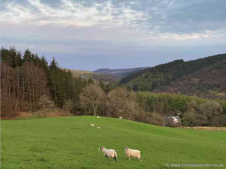 Composed Upon a Slope in the Peak District- Ted H Chalmers, Bancroft's