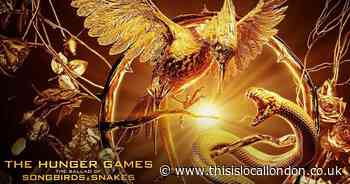 The New Hunger Games trailer is here - Daisy Moffat