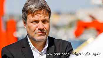 Warum Habeck und seine Partei sich schwer tun