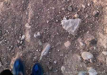 Pollution - It's Everywhere. Millie Dryburgh, St John's