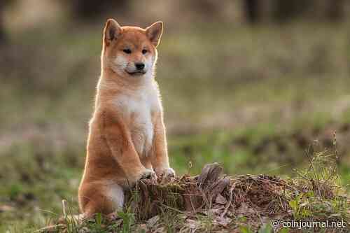 Shiba Inu (SHIB) and Aptos (APT) price outlook as Bitcoin (BTC) tests resistance near $30k