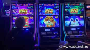 Pokies profits soar as struggling punters try their luck in the hope of paying groceries and rent