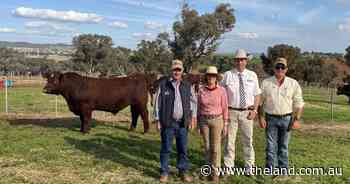 Sprys' sale sweet spots