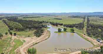 Choice cattle country set for auction