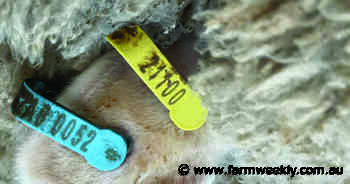 Experts shed light on the eID debateExperts shed light on the eID debate