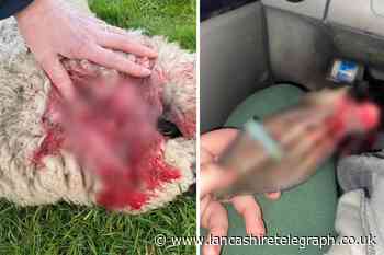Woman appealing for information after ram attacked in Brierfield