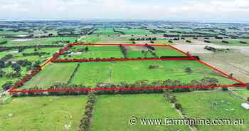 Colac district farm tests market with carve up