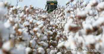 Global brands touring NSW cotton farms