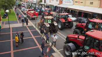 Nationals join forces with farmers to oppose multi-billion-dollar Victoria-NSW renewable energy project