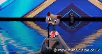 Britain's Got Talent viewers convinced they know identity of CGI cat Noodle