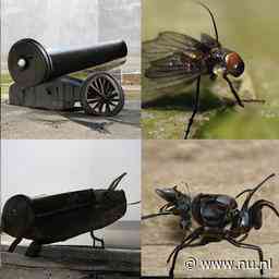 NU+ | De computer weet wat je ziet: hoe breinsignalen worden omgezet in beeld