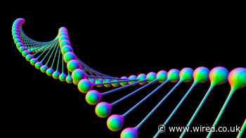 Inside the Secretive Life-Extension Clinic