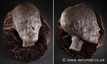 Rare 2,800-year-old mummified ancient Egyptian head is up for sale