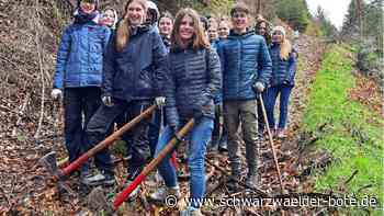 Baumpflanzaktion in Calw: Schüler vermessen ihren ökologischen Fußabdruck