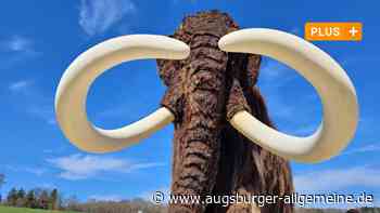 Wie geht nach dem Aus für den Archäopark Vogelherd weiter?