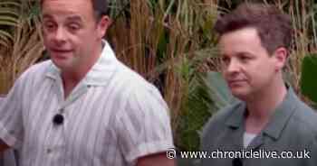 Ant and Dec branded I'm A Celebrity 'smiling assassins' as hosts send shockwaves through camp