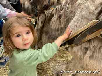 5 photos pour revivre la toute première fête de la biodiversité à Menton