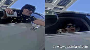 Person With Smiley Face Shirt, Puppy Wanted for Bank Fraud in Broward: BSO