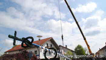 Trachtler, Böllerschützen und eine gegrillte Sau - Mühldorf hat zwei neue Maibäume