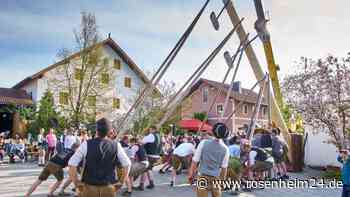 Schweiberl, Freibier und Beifall: So lief das Maibaum-Aufstellen im nördlichen Landkreis